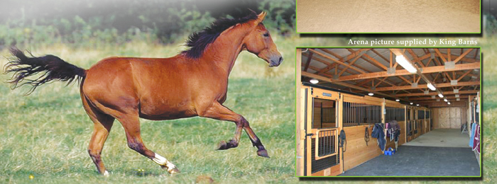 Horse Barn Lighting, Equinelighting, orion lighting