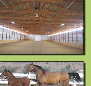 Horse Arena lighting 