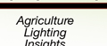 lighting insights